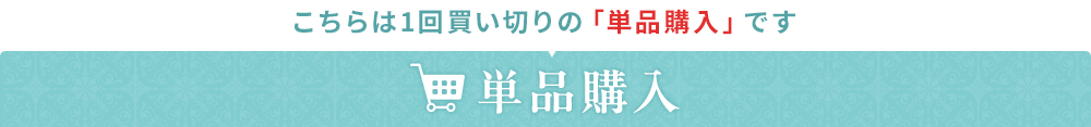 単品購入